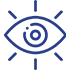 Vision